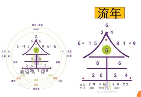 5號人配對|生命靈數配對｜剖析 